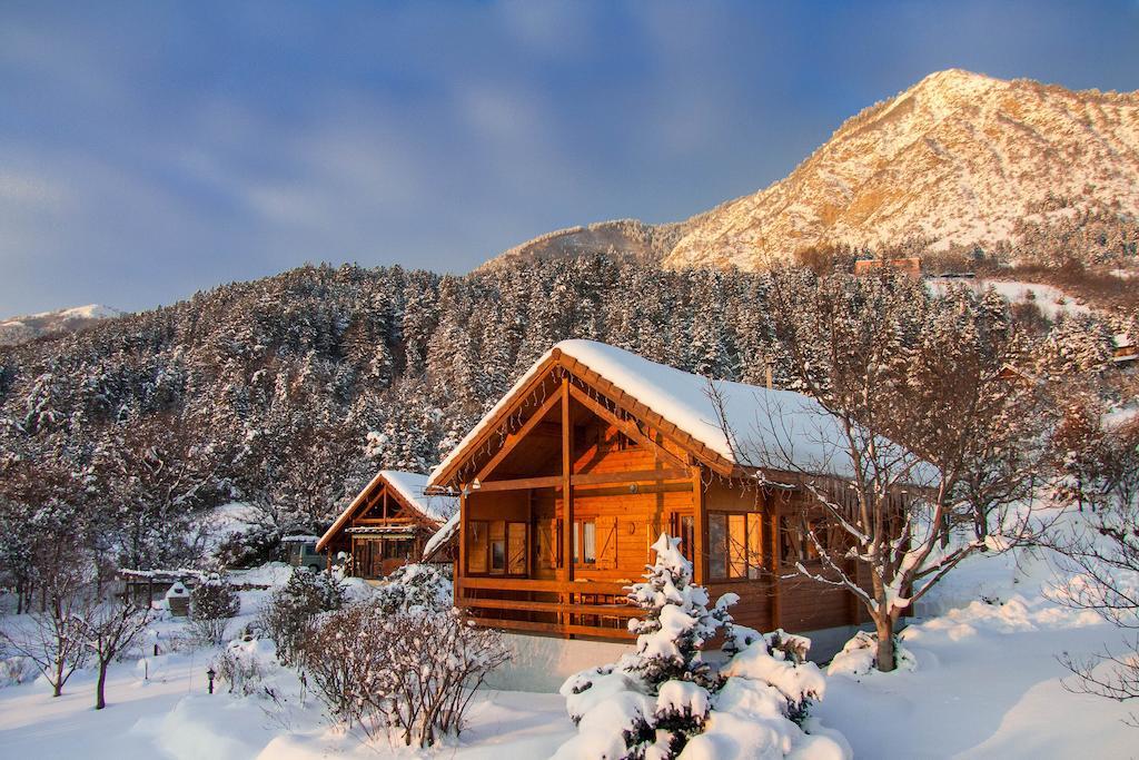 Chalet Carpe Diem La Batie-Neuve Номер фото